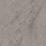 Skleněná brčka puntíky 13 cm set 4 ks_4